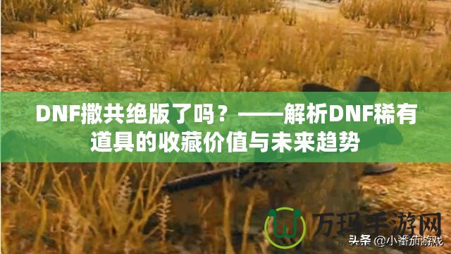 DNF撒共絕版了嗎？——解析DNF稀有道具的收藏價值與未來趨勢