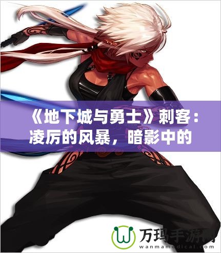 《地下城與勇士》刺客：凌厲的風(fēng)暴，暗影中的獵殺者