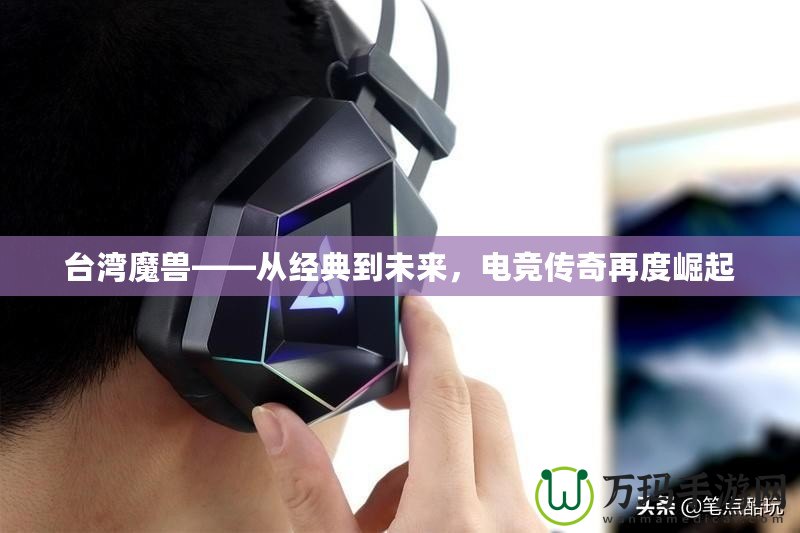 臺(tái)灣魔獸——從經(jīng)典到未來，電競(jìng)傳奇再度崛起