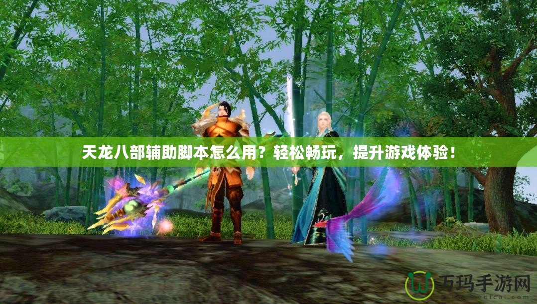 天龍八部輔助腳本怎么用？輕松暢玩，提升游戲體驗(yàn)！