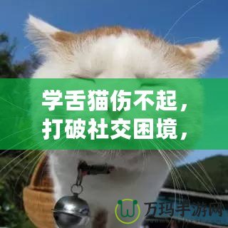 學(xué)舌貓傷不起，打破社交困境，找回自信與快樂！