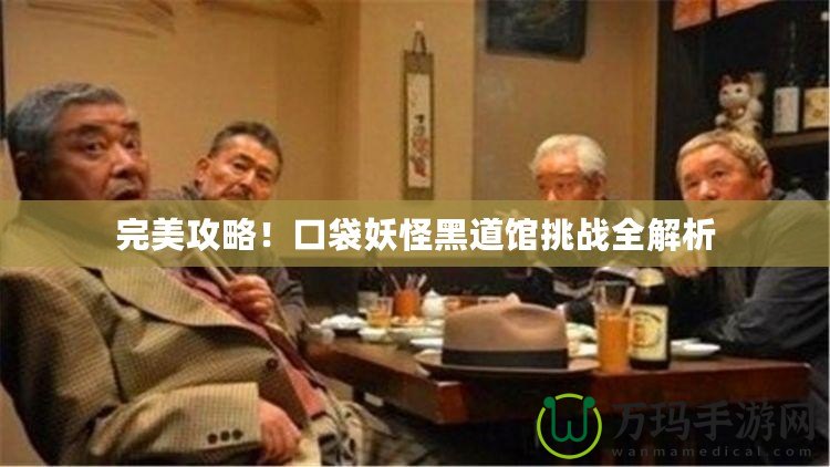 完美攻略！口袋妖怪黑道館挑戰(zhàn)全解析
