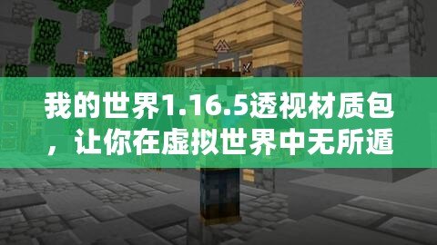 我的世界1.16.5透視材質(zhì)包，讓你在虛擬世界中無(wú)所遁形