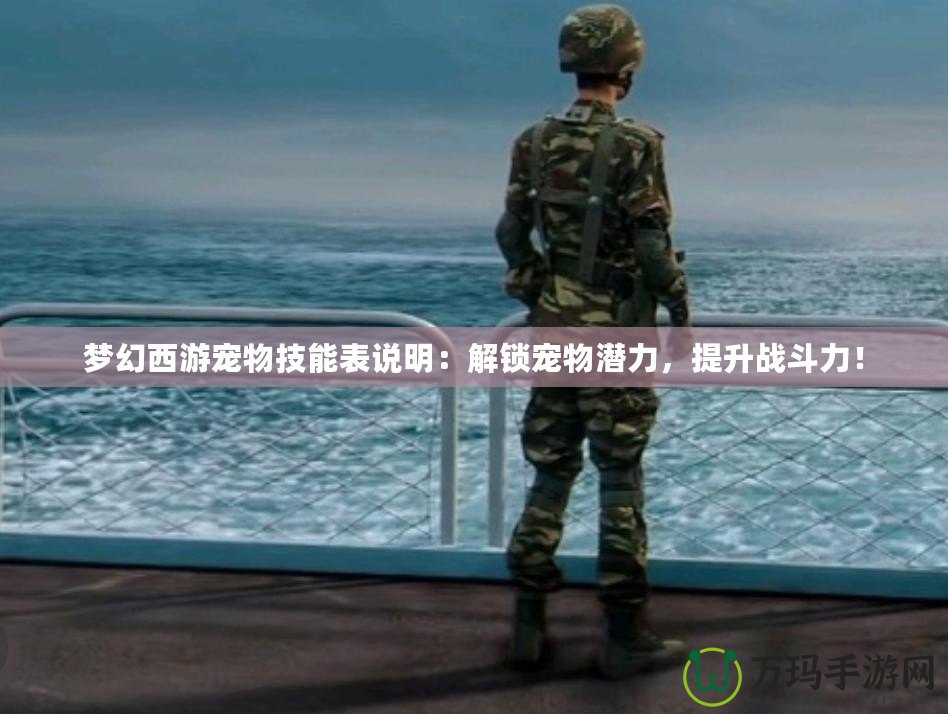 夢幻西游寵物技能表說明：解鎖寵物潛力，提升戰(zhàn)斗力！