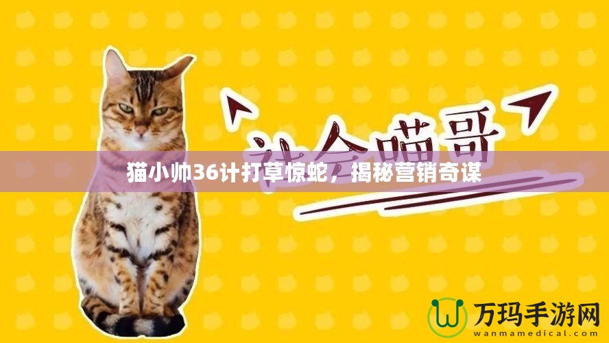 貓小帥36計(jì)打草驚蛇，揭秘營(yíng)銷(xiāo)奇謀