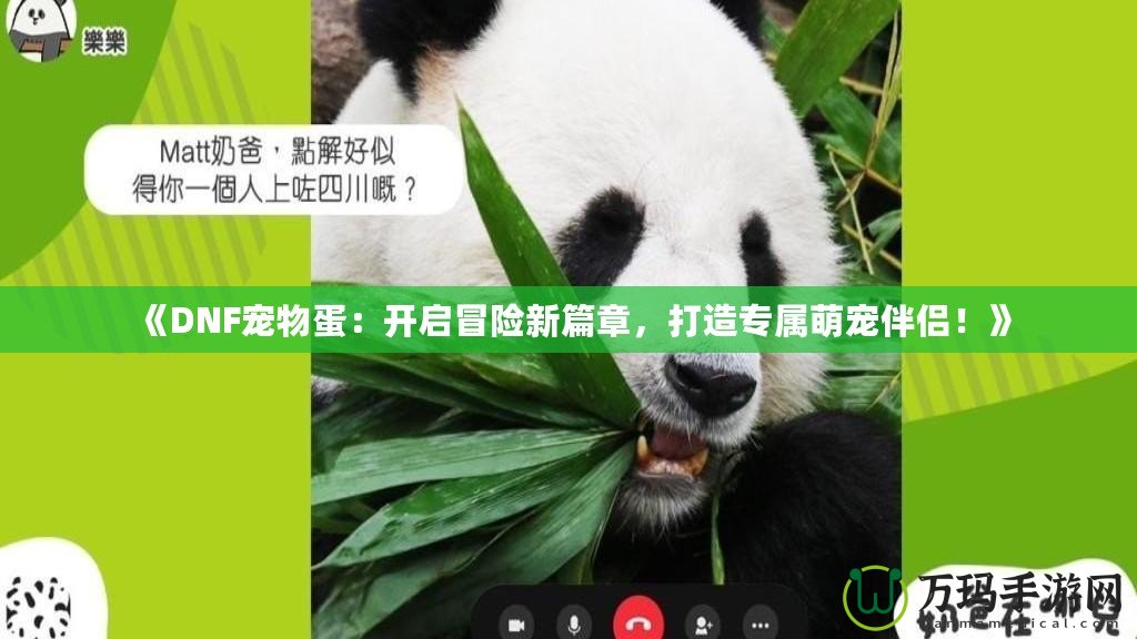 《DNF寵物蛋：開(kāi)啟冒險(xiǎn)新篇章，打造專屬萌寵伴侶！》
