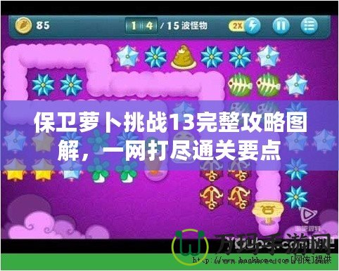 保衛(wèi)蘿卜挑戰(zhàn)13完整攻略圖解，一網(wǎng)打盡通關(guān)要點(diǎn)