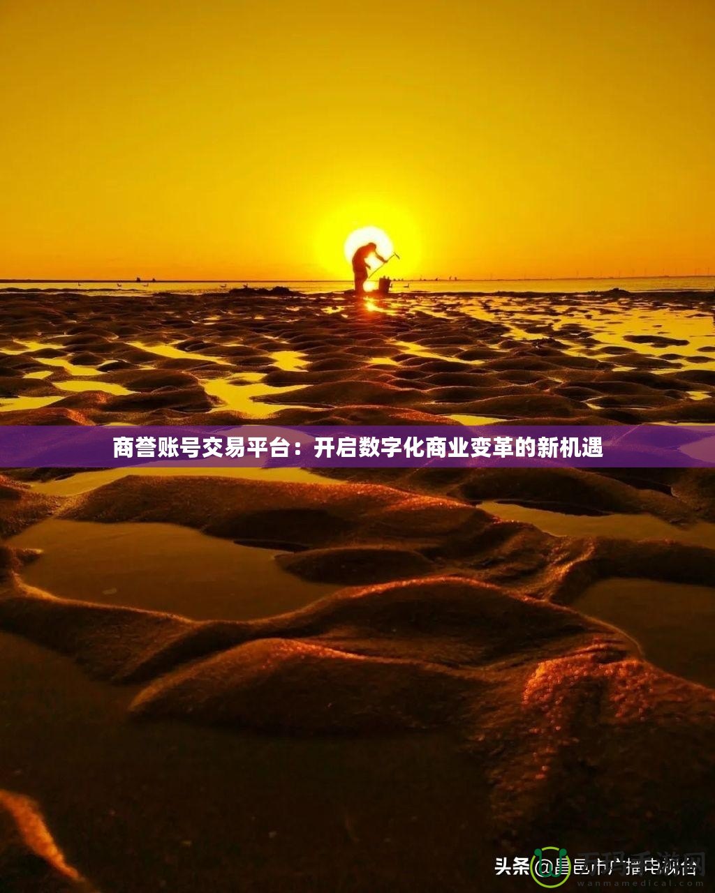 商譽賬號交易平臺：開啟數(shù)字化商業(yè)變革的新機(jī)遇