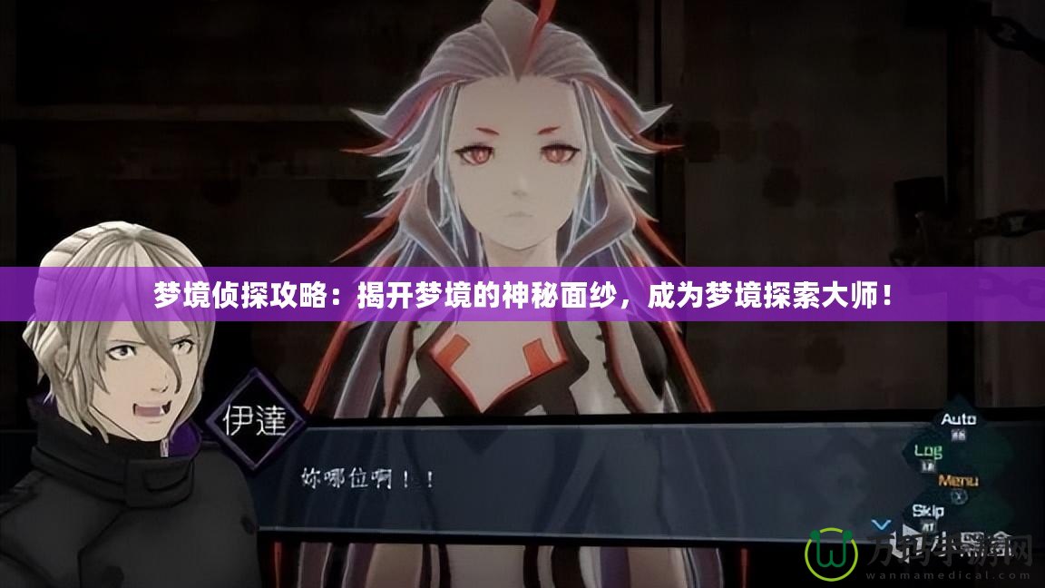 夢(mèng)境偵探攻略：揭開夢(mèng)境的神秘面紗，成為夢(mèng)境探索大師！