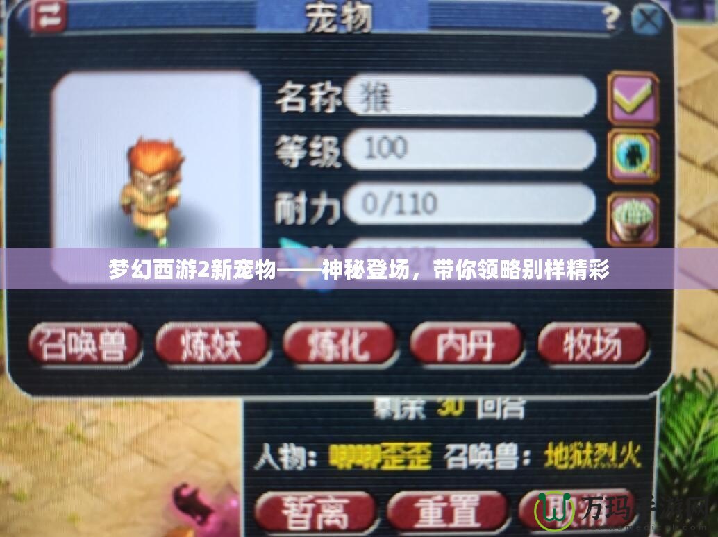 夢幻西游2新寵物——神秘登場，帶你領(lǐng)略別樣精彩