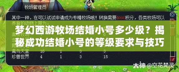 夢幻西游牧場結(jié)婚小號多少級？揭秘成功結(jié)婚小號的等級要求與技巧