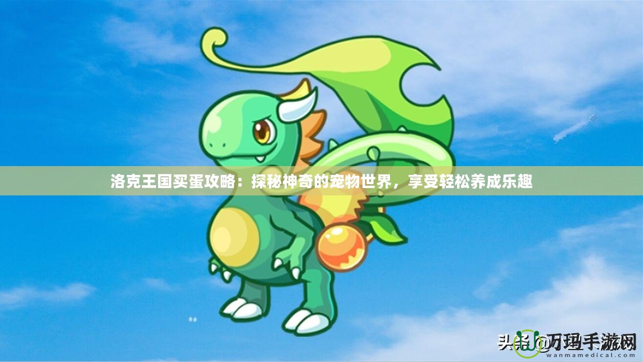 洛克王國買蛋攻略：探秘神奇的寵物世界，享受輕松養(yǎng)成樂趣