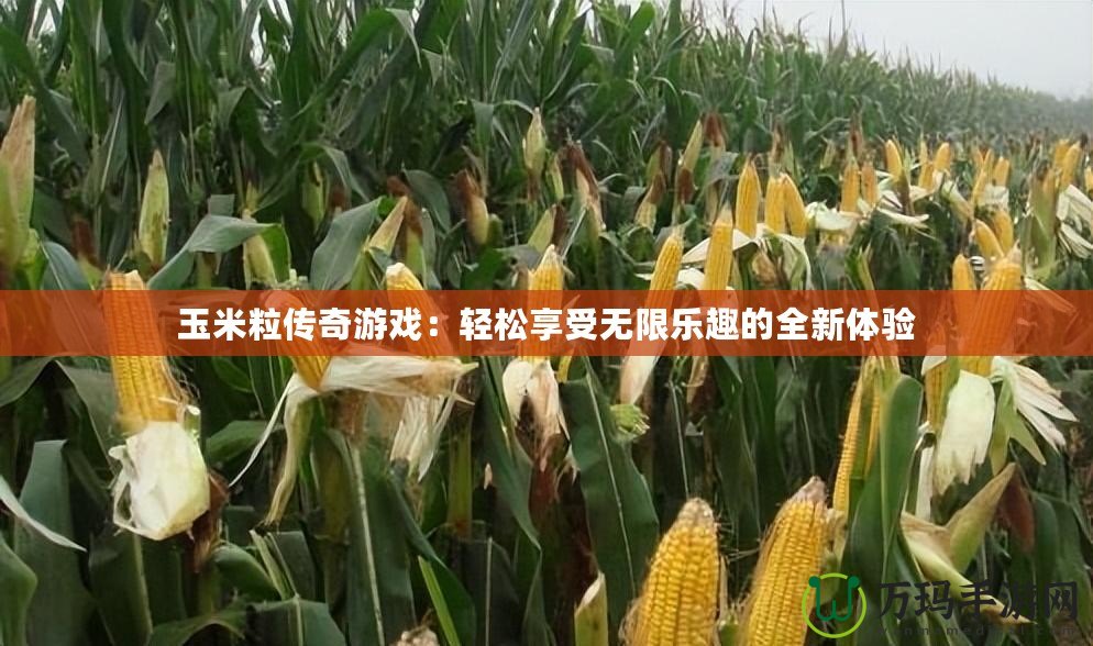 玉米粒傳奇游戲：輕松享受無限樂趣的全新體驗(yàn)