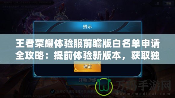 王者榮耀體驗(yàn)服前瞻版白名單申請(qǐng)全攻略：提前體驗(yàn)新版本，獲取獨(dú)家資格！