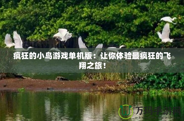 瘋狂的小鳥游戲單機(jī)版：讓你體驗(yàn)最瘋狂的飛翔之旅！
