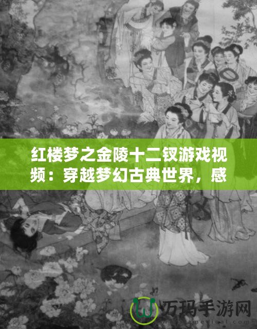 紅樓夢之金陵十二釵游戲視頻：穿越夢幻古典世界，感受豪門盛世