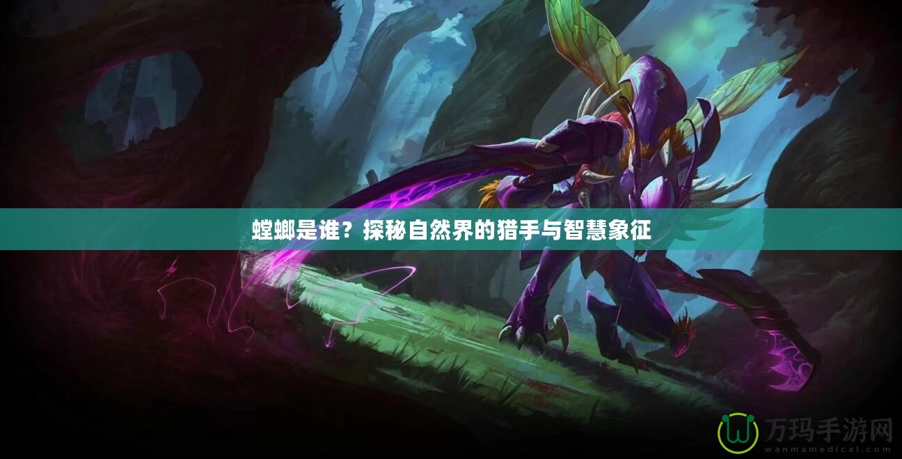 螳螂是誰？探秘自然界的獵手與智慧象征