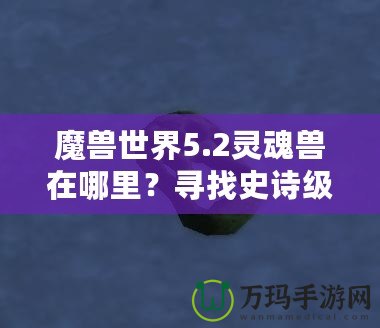 魔獸世界5.2靈魂獸在哪里？尋找史詩(shī)級(jí)寵物的終極指南