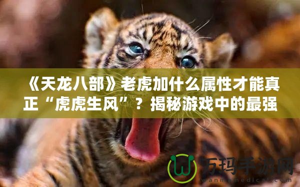 《天龍八部》老虎加什么屬性才能真正“虎虎生風(fēng)”？揭秘游戲中的最強(qiáng)搭配！