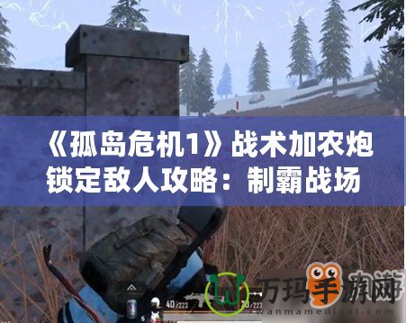 《孤島危機(jī)1》戰(zhàn)術(shù)加農(nóng)炮鎖定敵人攻略：制霸戰(zhàn)場的終極技巧