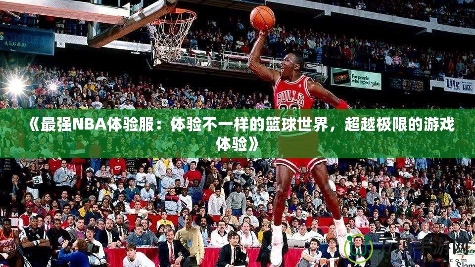 《最強(qiáng)NBA體驗(yàn)服：體驗(yàn)不一樣的籃球世界，超越極限的游戲體驗(yàn)》