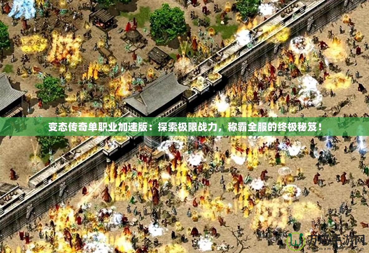 變態(tài)傳奇單職業(yè)加速版：探索極限戰(zhàn)力，稱霸全服的終極秘笈！