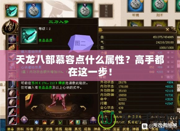 天龍八部慕容點(diǎn)什么屬性？高手都在這一步！