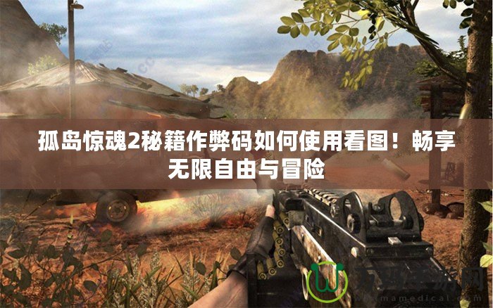 孤島驚魂2秘籍作弊碼如何使用看圖！暢享無(wú)限自由與冒險(xiǎn)
