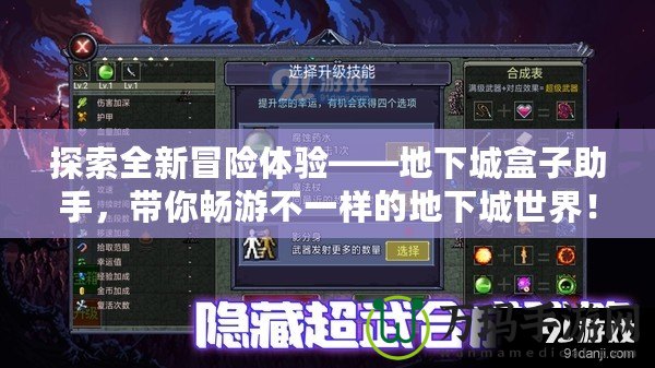 探索全新冒險(xiǎn)體驗(yàn)——地下城盒子助手，帶你暢游不一樣的地下城世界！