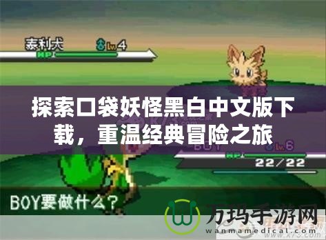 探索口袋妖怪黑白中文版下載，重溫經(jīng)典冒險(xiǎn)之旅