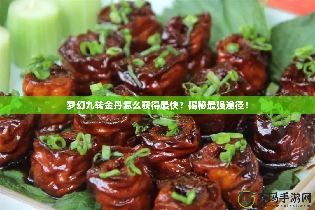 夢(mèng)幻九轉(zhuǎn)金丹怎么獲得最快？揭秘最強(qiáng)途徑！