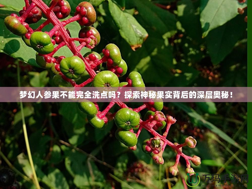 夢(mèng)幻人參果不能完全洗點(diǎn)嗎？探索神秘果實(shí)背后的深層奧秘！