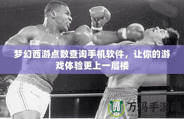 夢幻西游點數(shù)查詢手機軟件，讓你的游戲體驗更上一層樓