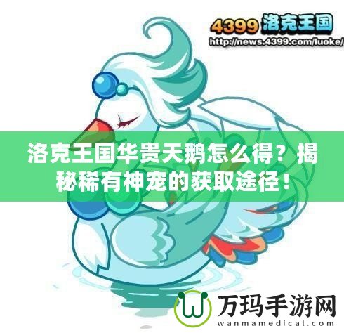 洛克王國(guó)華貴天鵝怎么得？揭秘稀有神寵的獲取途徑！