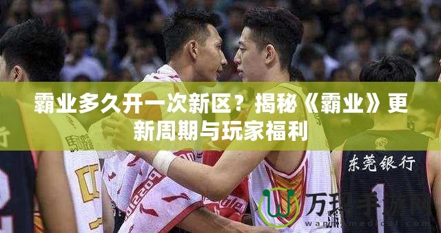 霸業(yè)多久開一次新區(qū)？揭秘《霸業(yè)》更新周期與玩家福利
