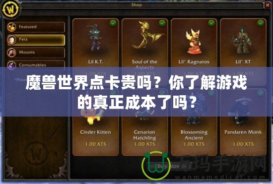 魔獸世界點(diǎn)卡貴嗎？你了解游戲的真正成本了嗎？