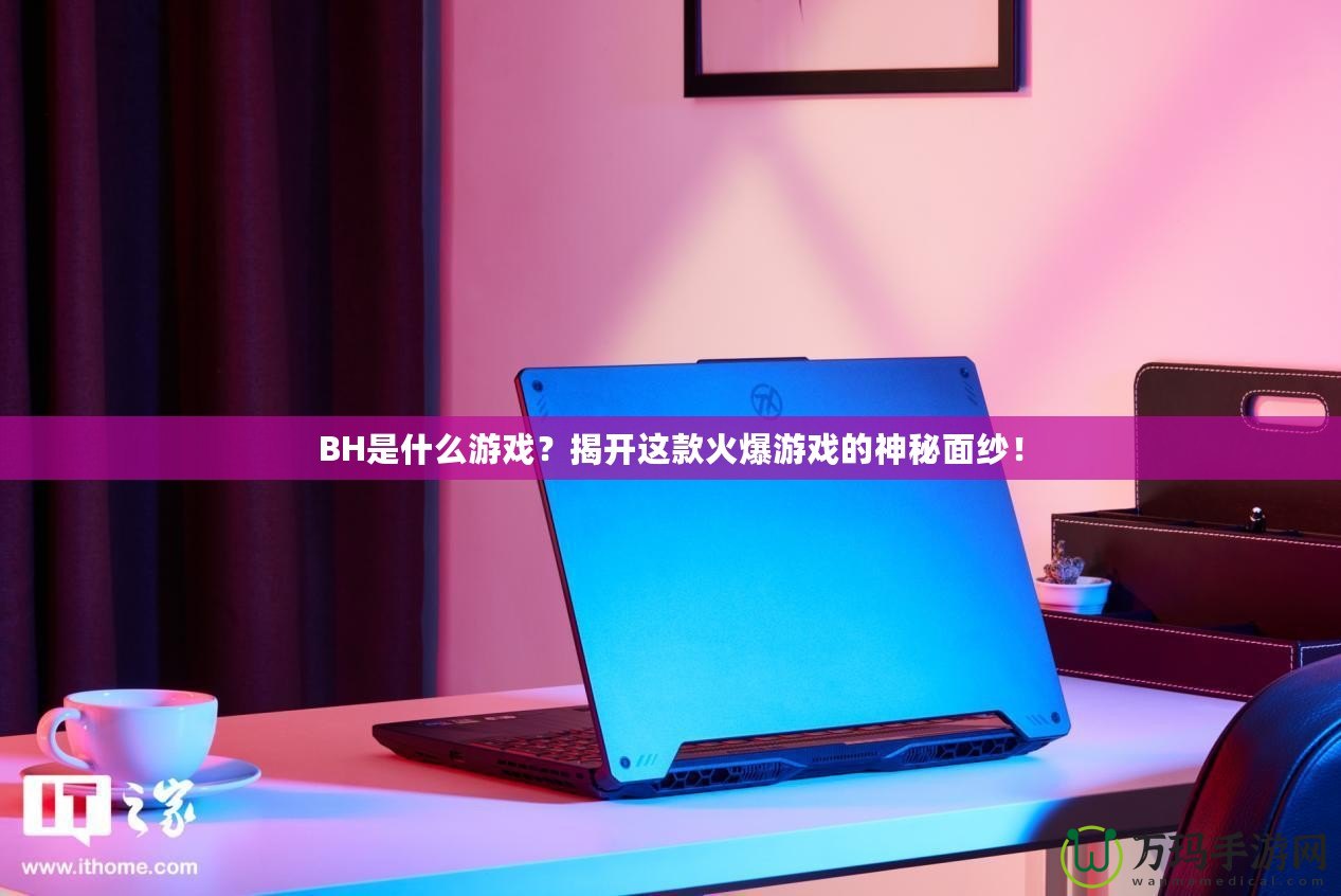 BH是什么游戲？揭開這款火爆游戲的神秘面紗！