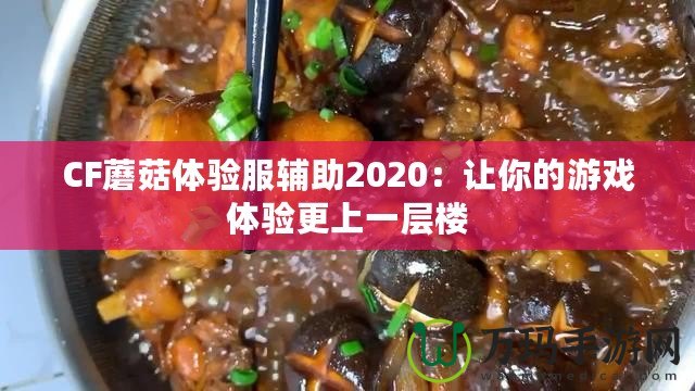 CF蘑菇體驗服輔助2020：讓你的游戲體驗更上一層樓