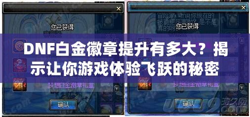 DNF白金徽章提升有多大？揭示讓你游戲體驗飛躍的秘密