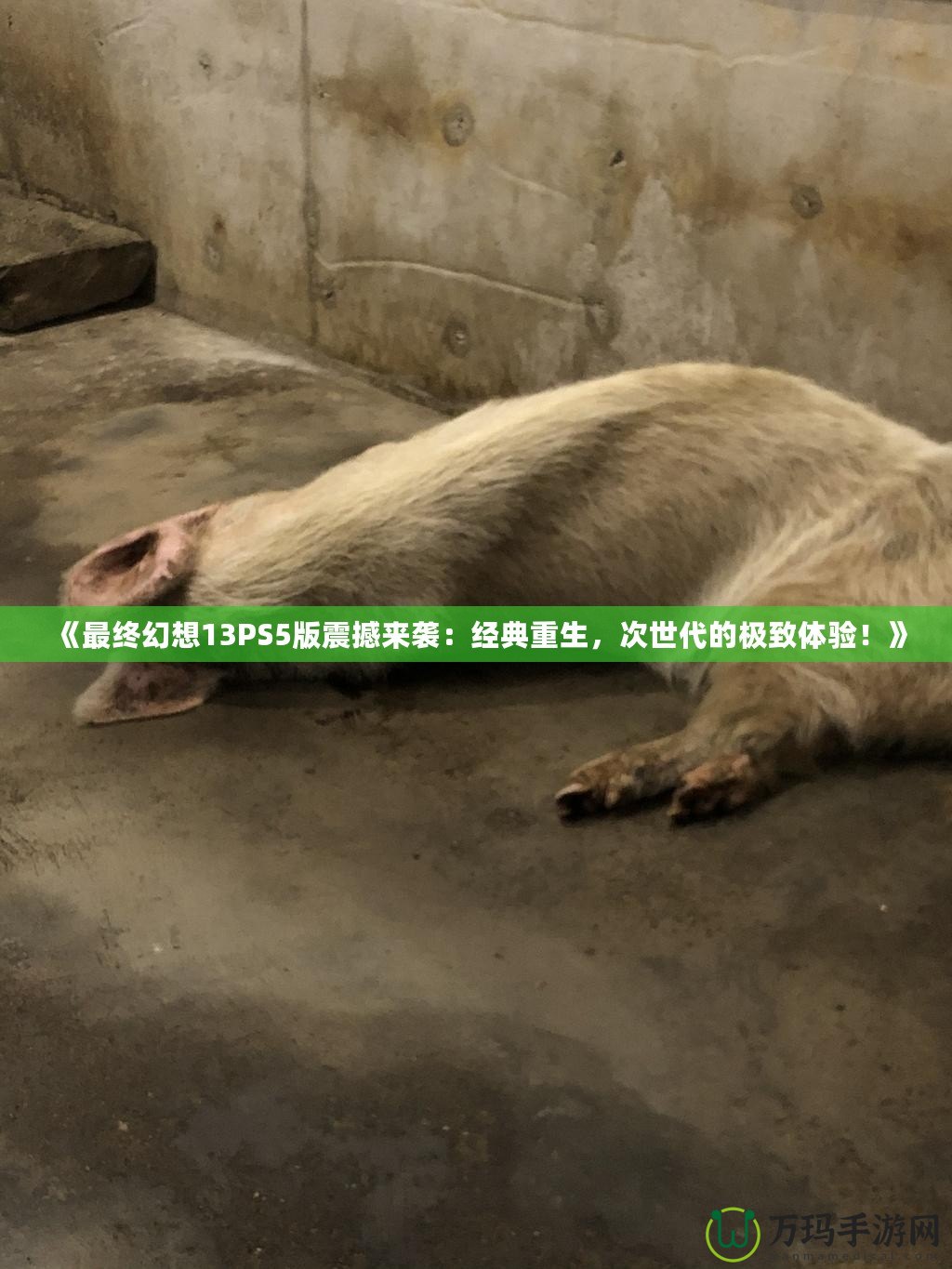 《最終幻想13PS5版震撼來襲：經(jīng)典重生，次世代的極致體驗(yàn)！》
