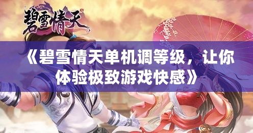 《碧雪情天單機(jī)調(diào)等級(jí)，讓你體驗(yàn)極致游戲快感》