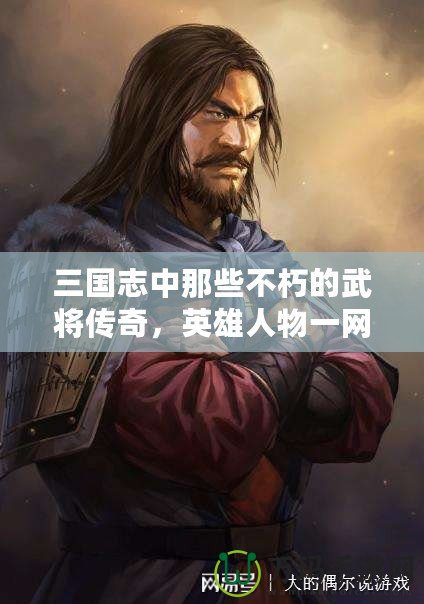 三國志中那些不朽的武將傳奇，英雄人物一網(wǎng)打盡