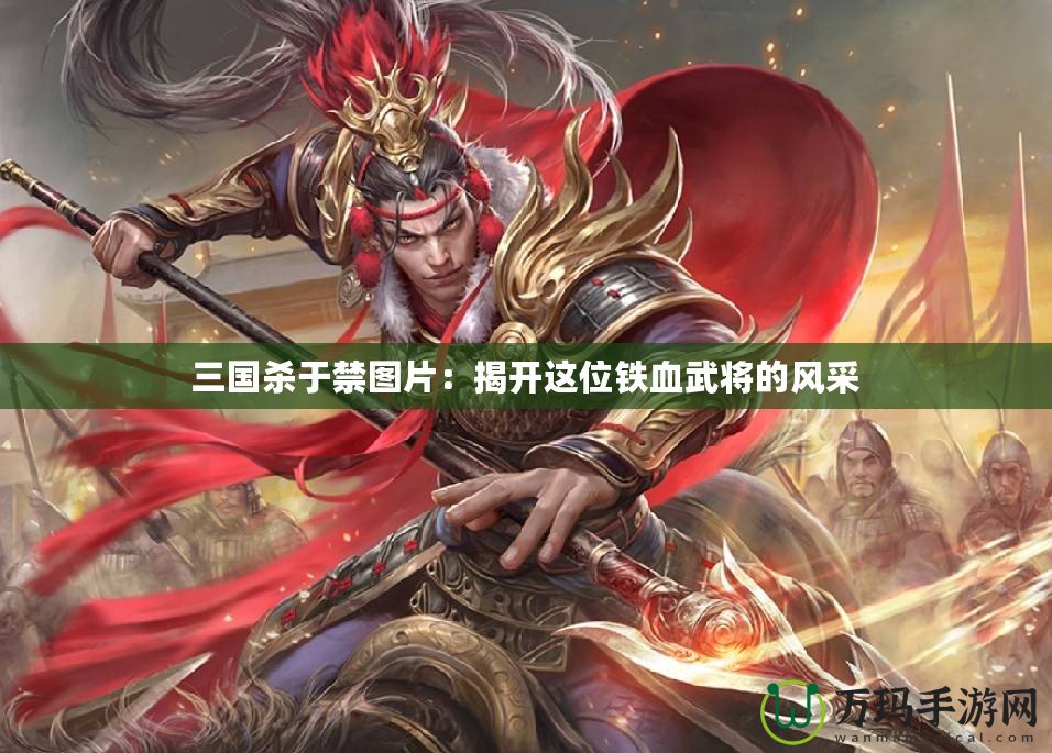 三國(guó)殺于禁圖片：揭開這位鐵血武將的風(fēng)采