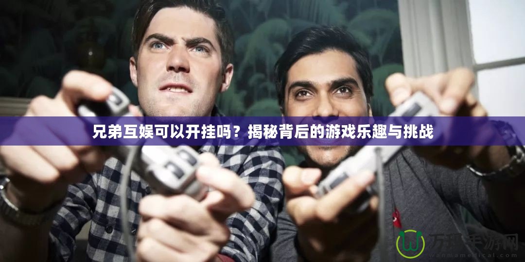 兄弟互娛可以開掛嗎？揭秘背后的游戲樂趣與挑戰(zhàn)