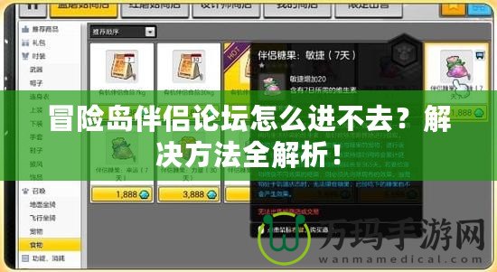 冒險島伴侶論壇怎么進不去？解決方法全解析！