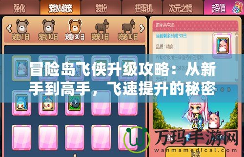 冒險(xiǎn)島飛俠升級攻略：從新手到高手，飛速提升的秘密！