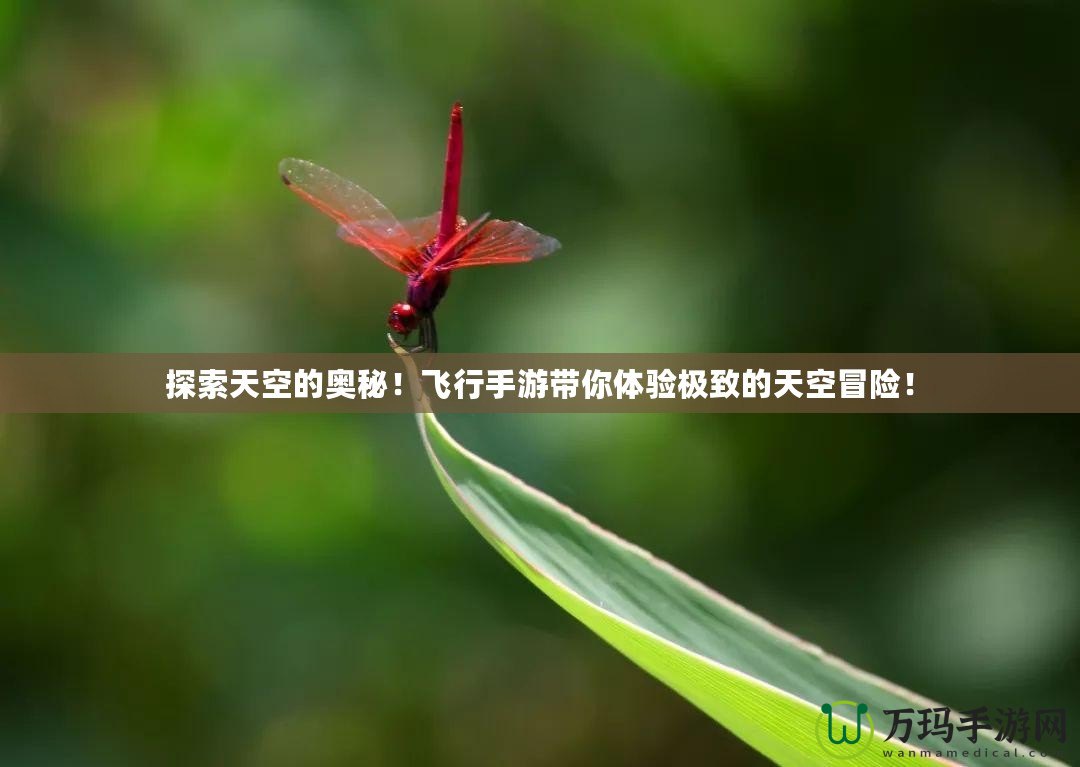 探索天空的奧秘！飛行手游帶你體驗(yàn)極致的天空冒險(xiǎn)！
