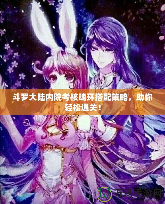 斗羅大陸內(nèi)院考核魂環(huán)搭配策略，助你輕松通關(guān)！