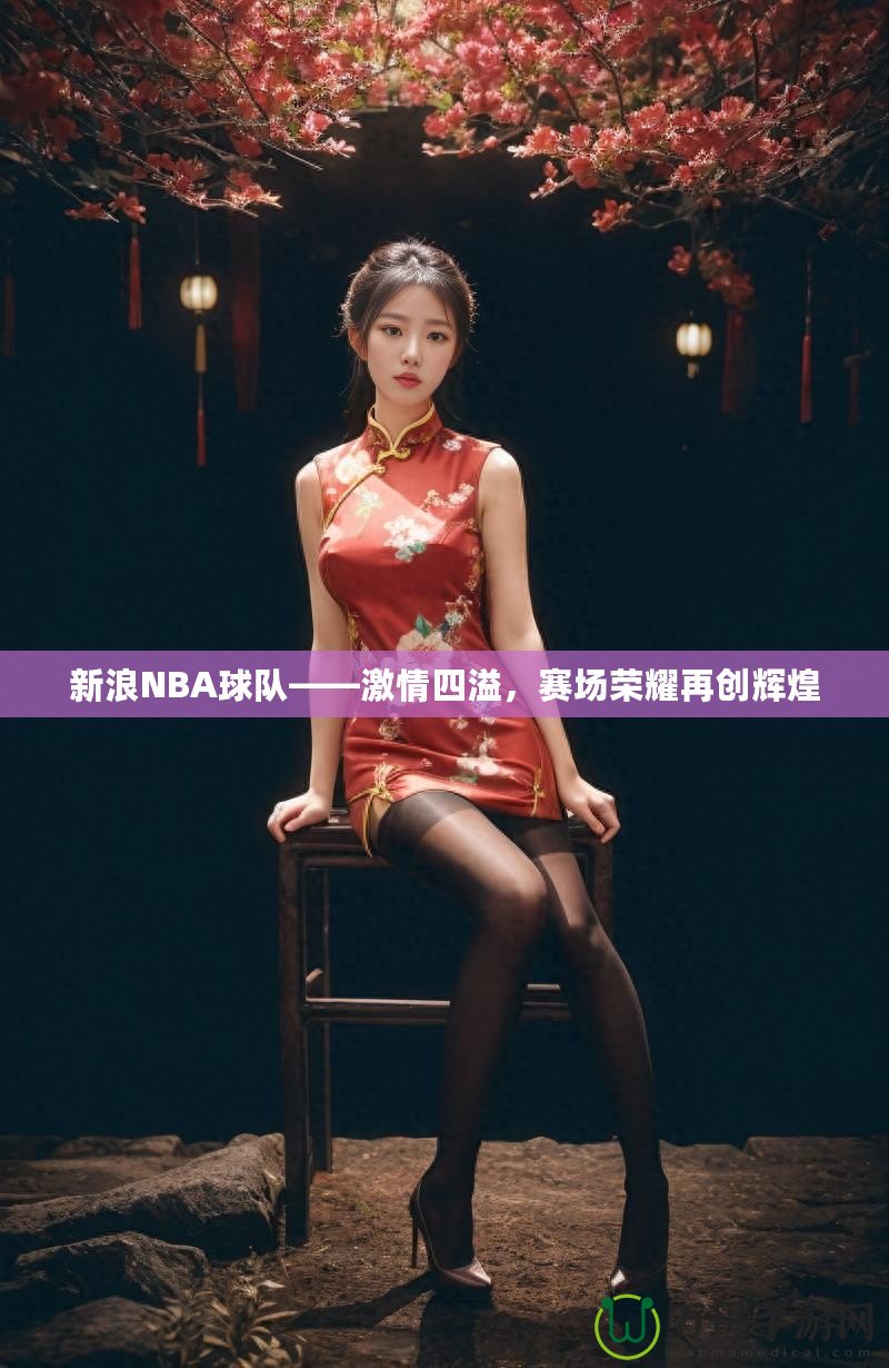 新浪NBA球隊(duì)——激情四溢，賽場榮耀再創(chuàng)輝煌