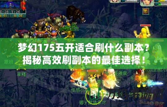 夢(mèng)幻175五開(kāi)適合刷什么副本？揭秘高效刷副本的最佳選擇！
